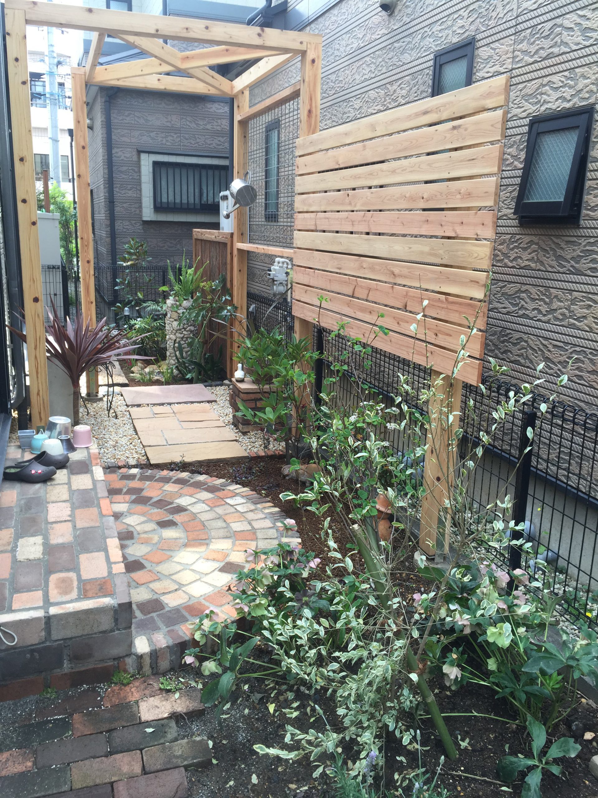 シルバープリペット ワンダーランドスケープ